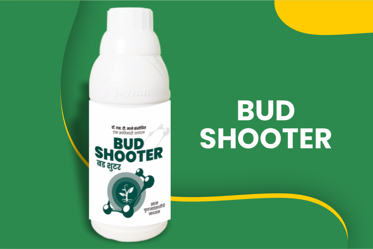 Bud Shooter