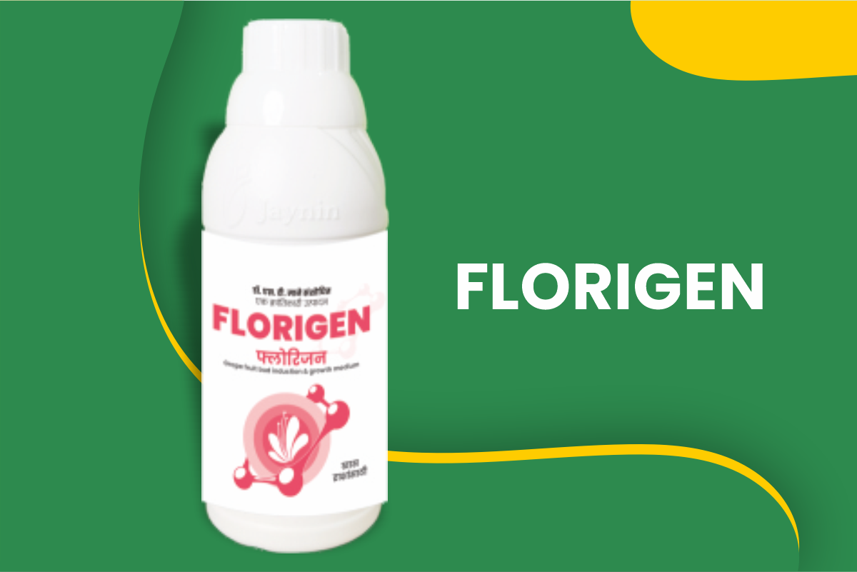 Florigen