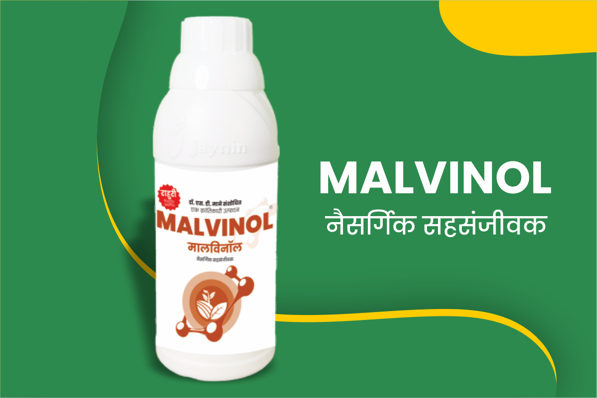 Malvinol