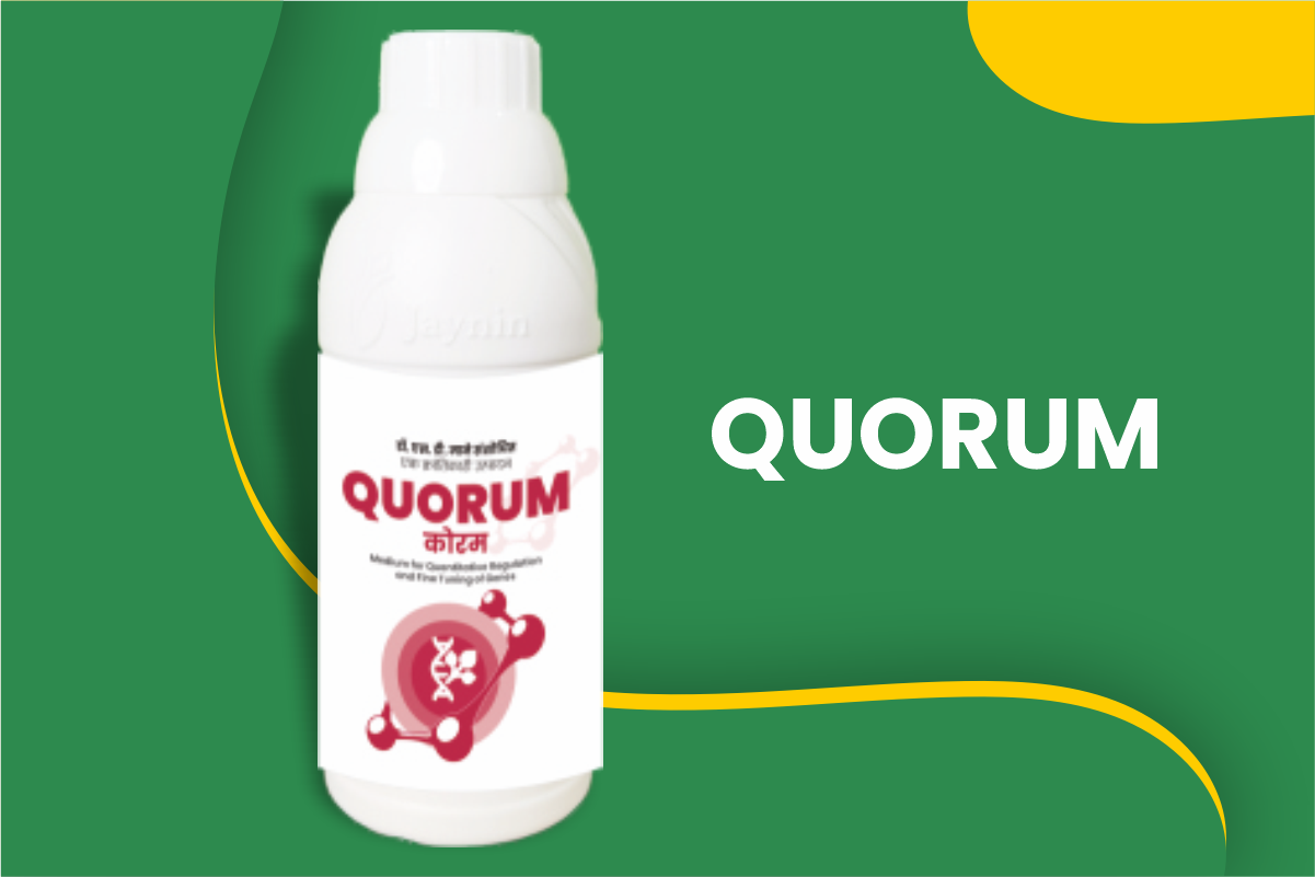 QUORUM