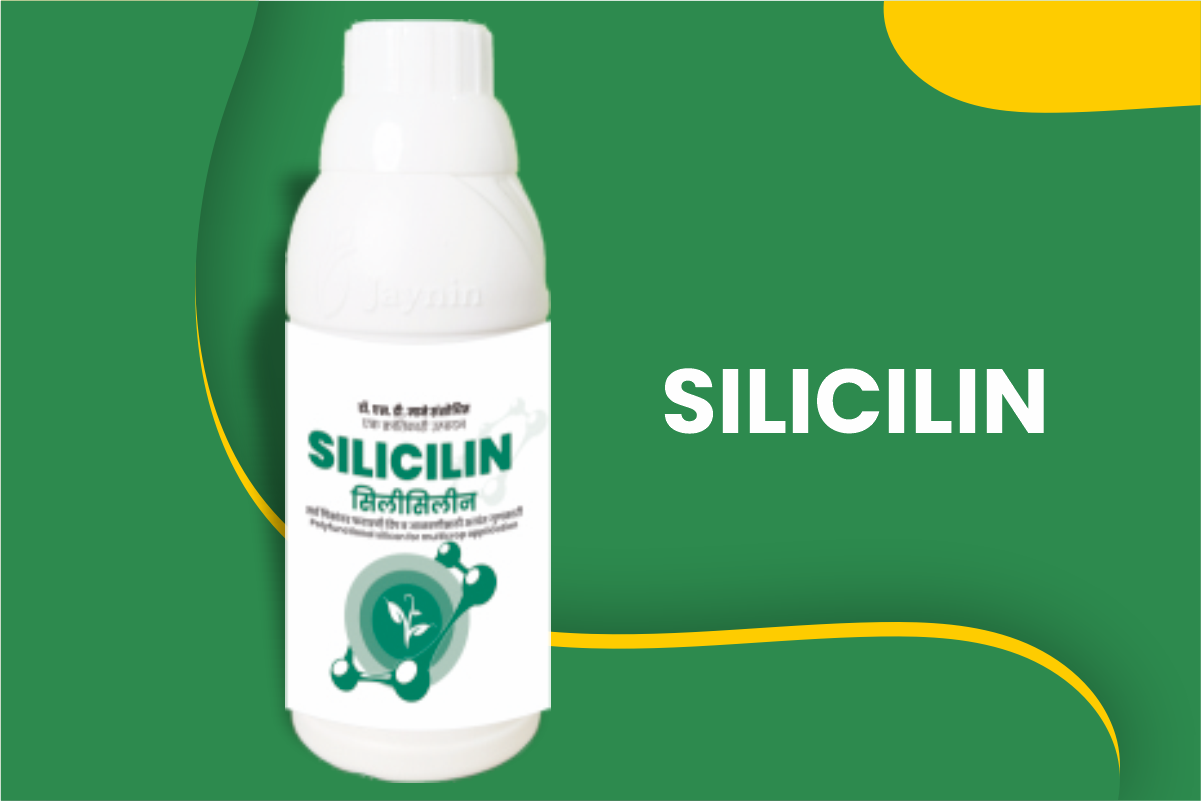 Sicilin