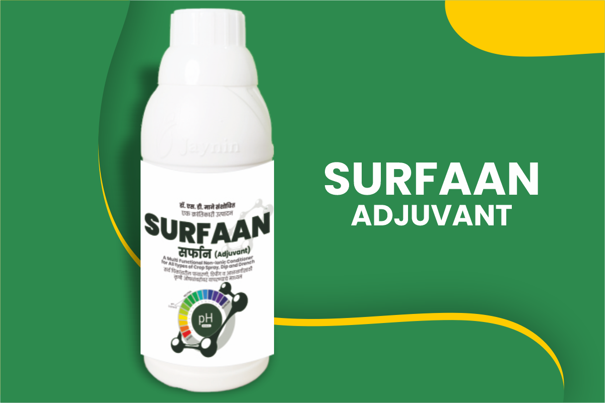 Surfaan